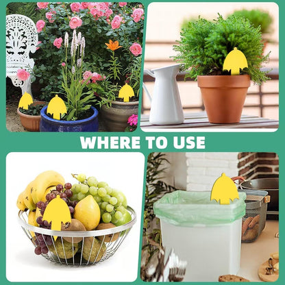 72 Pcs Classic Sticky Traps for Fungus Gnat (Plants), Flying Insect, Whitefly and Fly, Yellow Sticky Insect Catcher Traps for Indoor/Outdoor, Kitchen, and Plants, High-End Glue, Non-Toxic, 4 Shapes