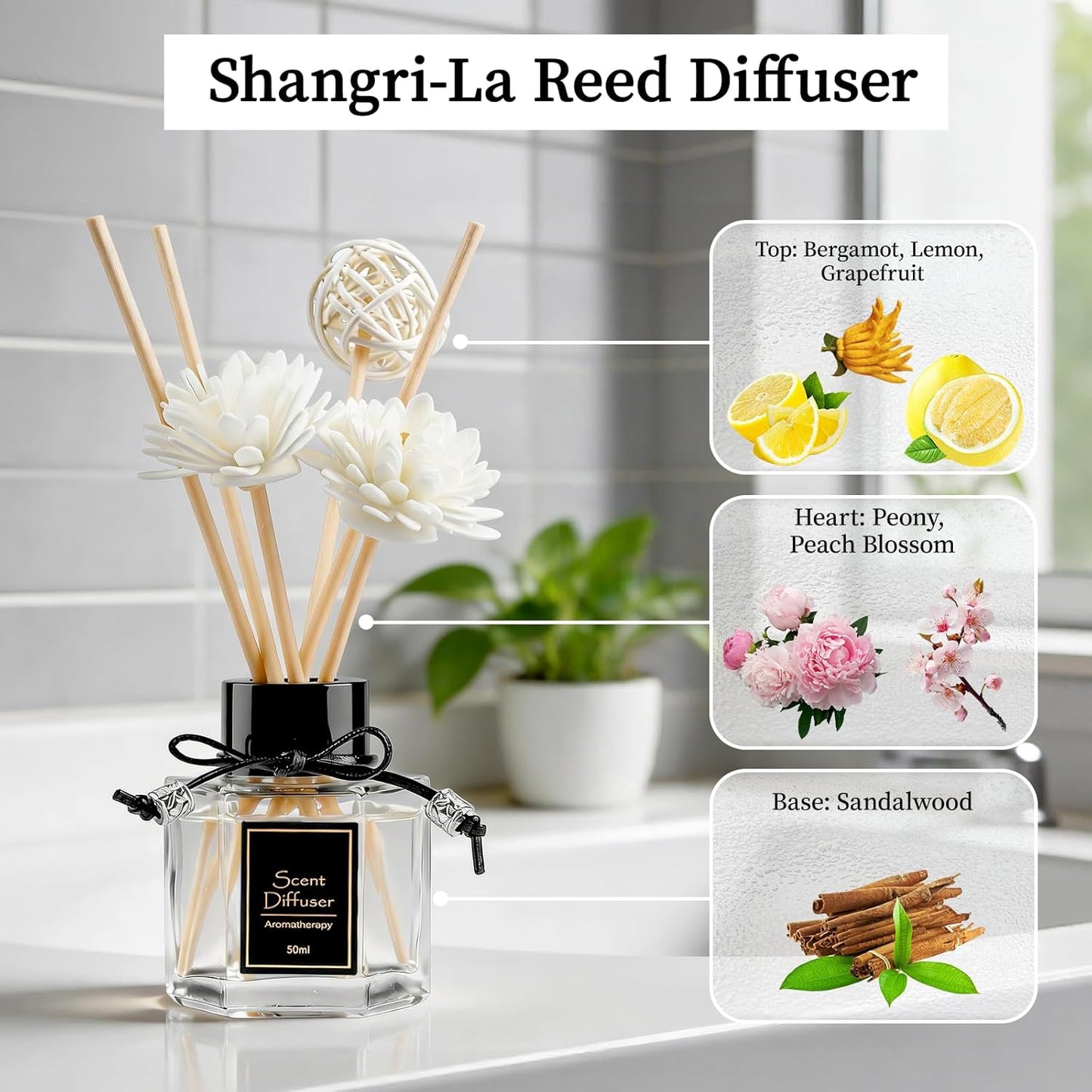 TonJin Reed Diffuser Set of 2 | 1.7 fl oz Natural Home Fragrance with Sticks | Long-Lasting Scented Sticks for Bathroom, Living Room & Bedroom | Non-Toxic Essential Oil Air Freshener Shangri-La