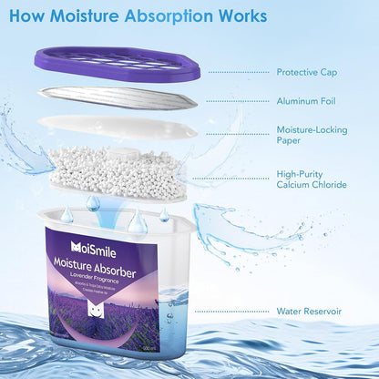 Moisture Absorbers with Activated Charcoal, Humidity Control & Air Deodorizing Preparations for Closet, Bathroom, Basement, Car & RV, 3 Pack