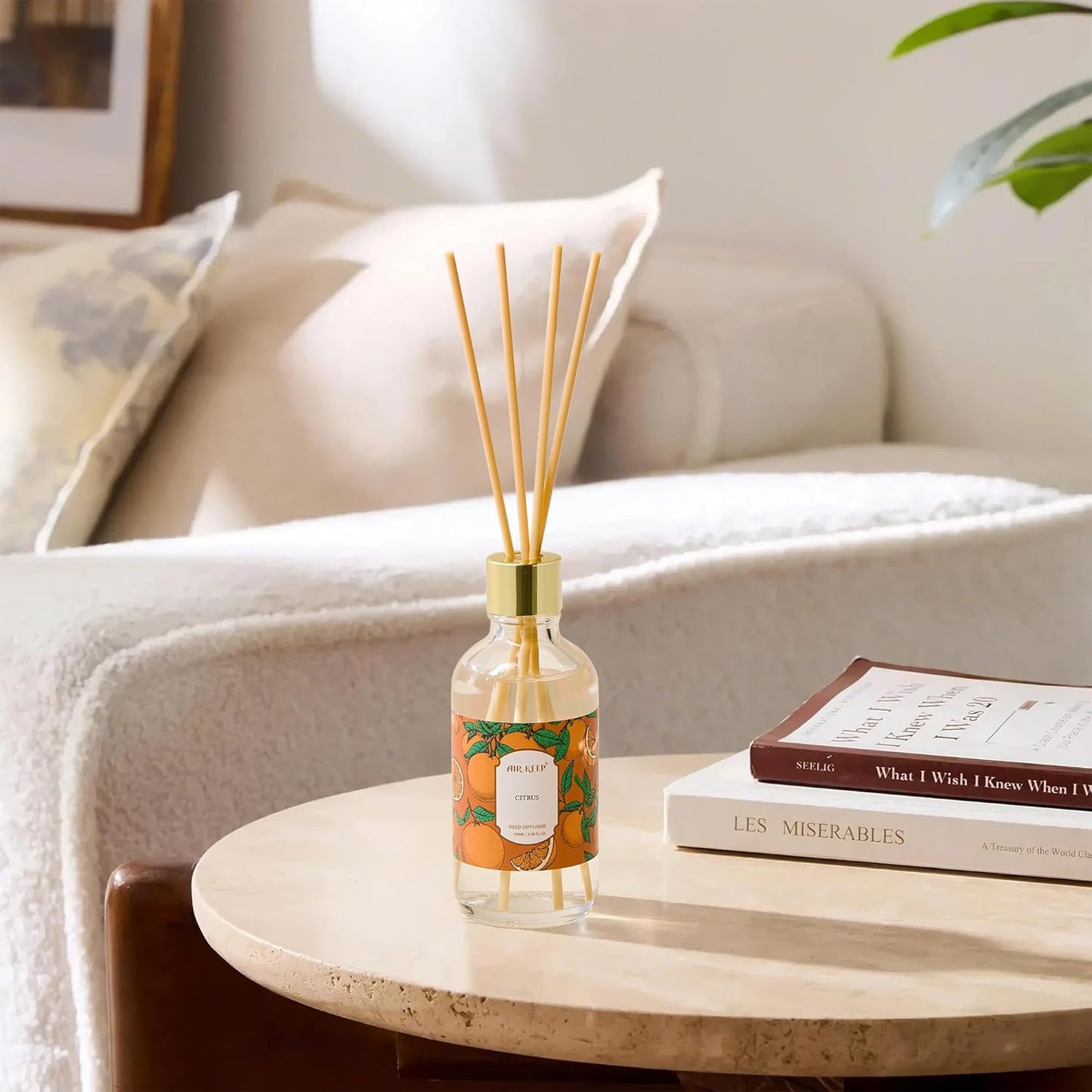 Airkeep Reed Diffuser Oil Set with Reed Sticks,Vanilla Aromatherapy Oil Scent Diffuser for Home Office Bathroom Decoration Perfume and Gifts 3.38 oz/100ml