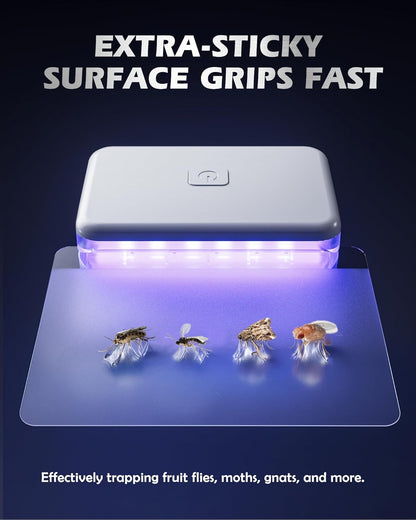 LFSYS Fruit Fly Traps for Indoors (1 Device+10 Refills) Plug in Fly Trap for Gnats, Fruit Flies, Flying Insects Sleek Design Indoor Safe