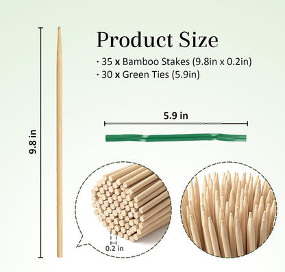 Plant Stakes for Indoor Plants – MAQIHAN 40PCS Plant Support Sticks, 9.8 Inch Stakes for Potted Plants, Orchids & Seedlings, Garden Stake with 30pcs Green Ties