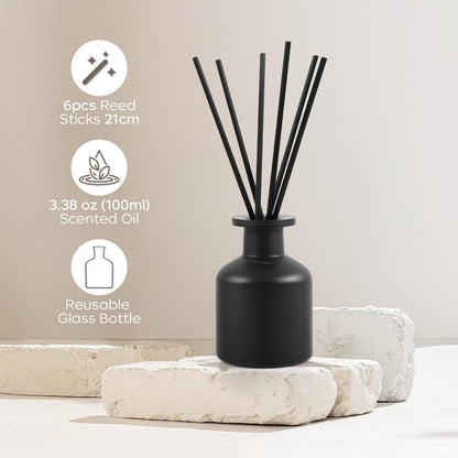 Reed Diffuser Set,Ocean Mist & Sea Salt Fragrance,100ml(3.38 fl.oz) with 6 Reed Sticks,Long-Lasting Oil Diffuser for Home,Office,Bathroom,Flame Free