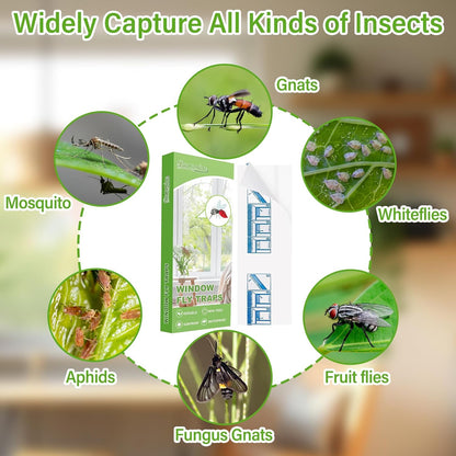 60 Pack Window Fly Traps, Window Sticky Traps, Sticky Non-Toxic Clear Fly Paper Indoor for Home