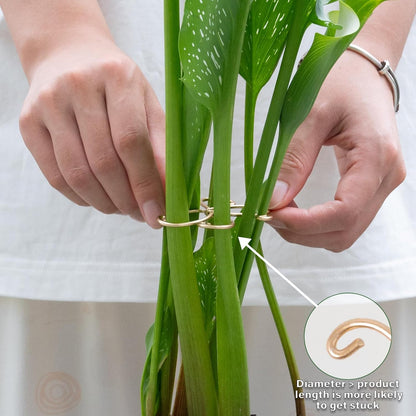 5PCS Monstera Plant Stem Support Stakes - 5.5 * 5.5IN Metal Supports for Monstera and Fishbone Cactus, Sturdy Frame, Easy Installation, Flexible Protection for Healthy Growth Indoors
