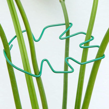 Yohsnor Monstera Plant Stem Support System - 5 Piece Set (5.5x4.7in) | Durable Plant Support Stakes for Climbing Plants & Fishbone Cactus | Ideal Leaf Stabilizer for Indoor Plants & Monstera Care