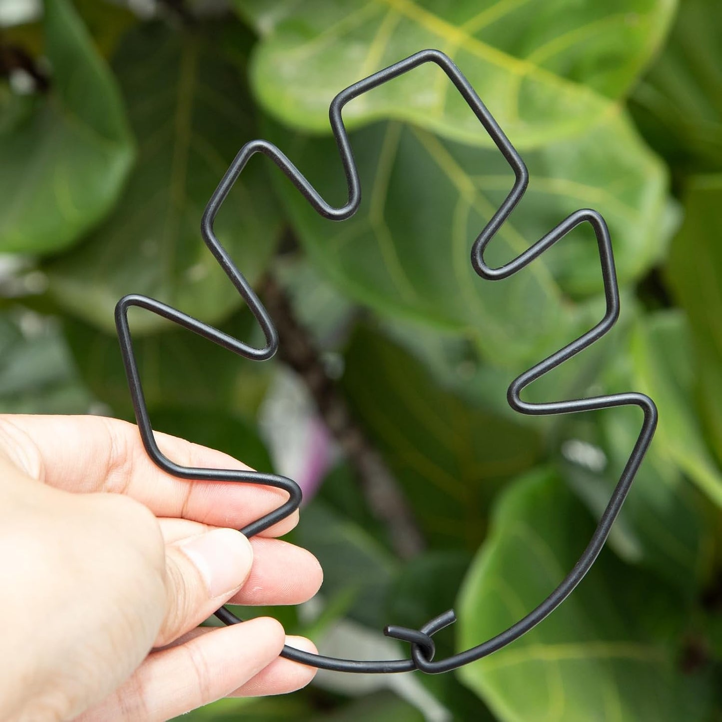 Yohsnor Monstera Plant Stem Support System - 5 Piece Set (5.5x4.7in) | Durable Plant Support Stakes for Climbing Plants & Fishbone Cactus | Ideal Leaf Stabilizer for Indoor Plants & Monstera Care