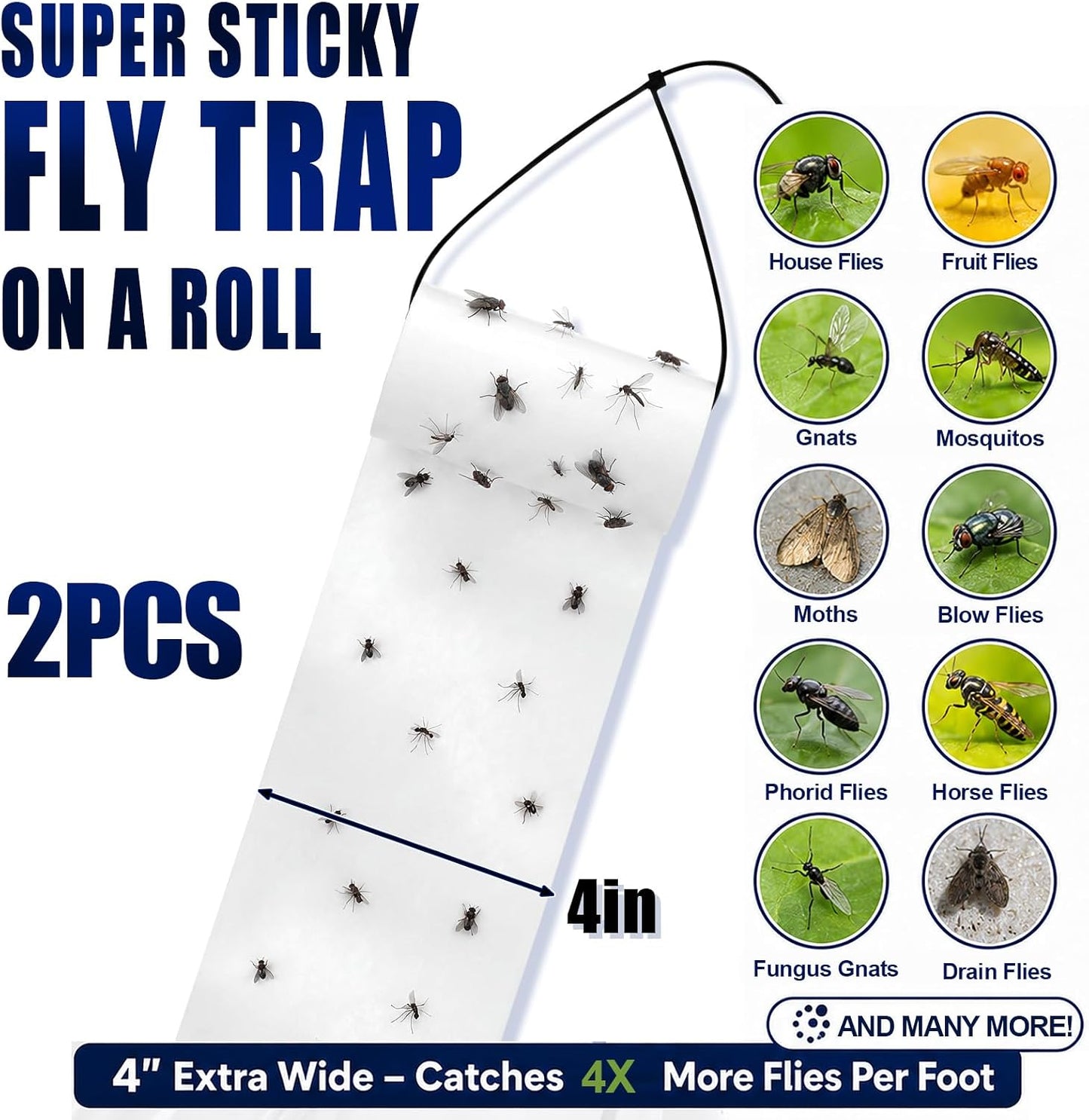 2 Roll Sticky Fly Tape 30 ft x 4 Inch Each Roll Hanging White Fly Paper with Strip Indoor Outdoor Non Toxic Fruit Gnat Killer for Kitchen, Restaurant, Garage, Patio, Horse Stable, Pet Areas