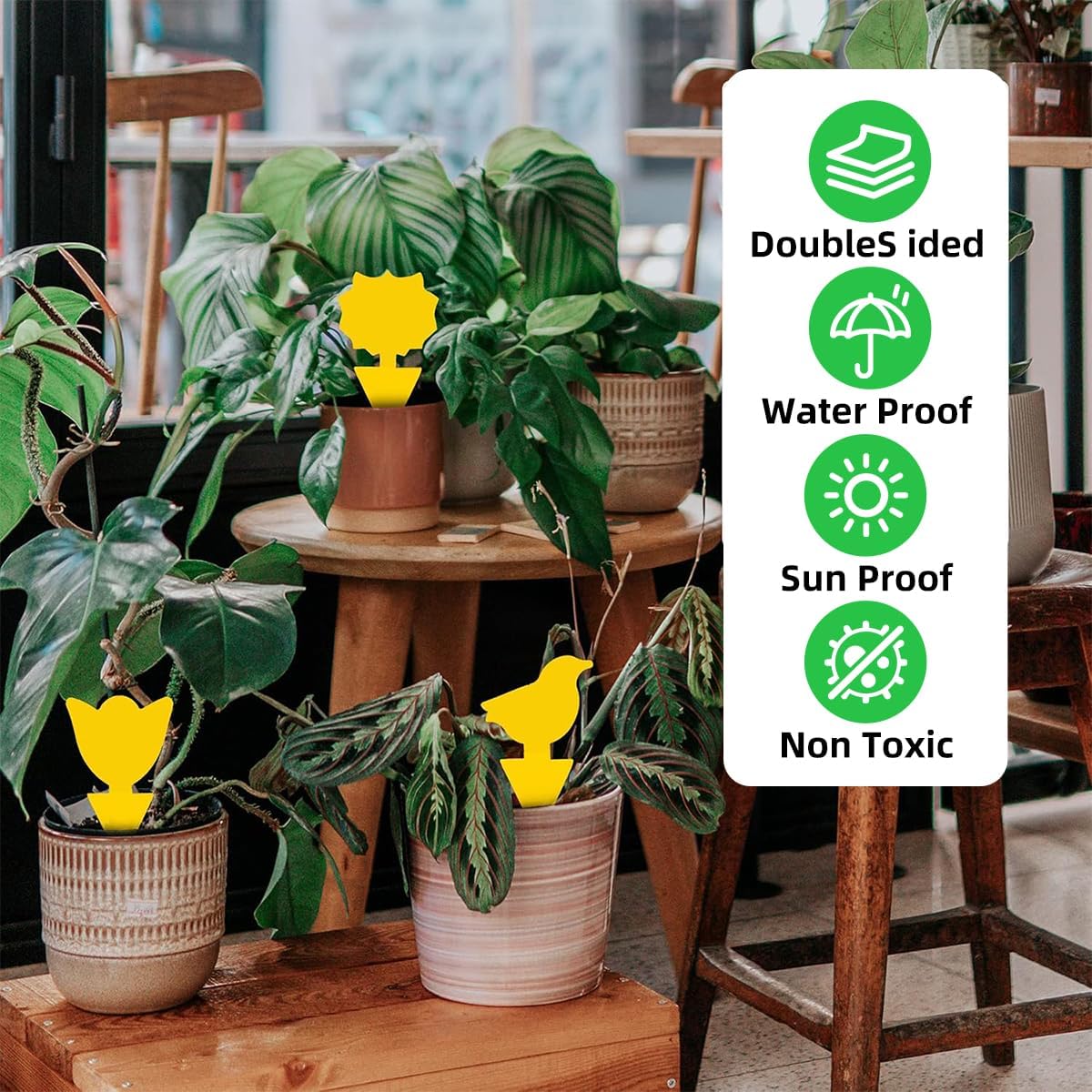 36 Pcs Sticky Traps for Fungus Gnat, Fruit Fly, Whitefly, Yellow | Indoor/Outdoor Use, For Plants & Kitchen, High-End Glue, Insect Catcher