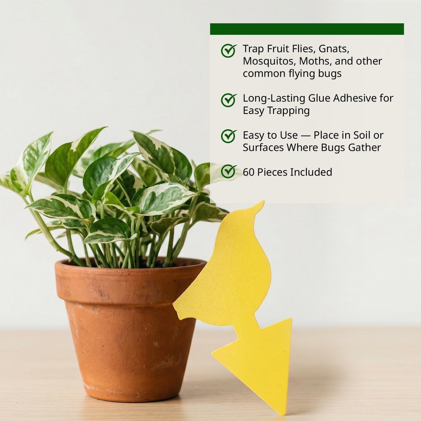 Kate's Home & Garden 36 Count Fruit Fly Traps for Indoors and House. Yellow Sticky Trap for Gnats, Mosquitos, Plants, Ants