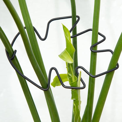 Yohsnor Monstera Plant Stem Support System - 5 Piece Set (5.5x4.7in) | Durable Plant Support Stakes for Climbing Plants & Fishbone Cactus | Ideal Leaf Stabilizer for Indoor Plants & Monstera Care