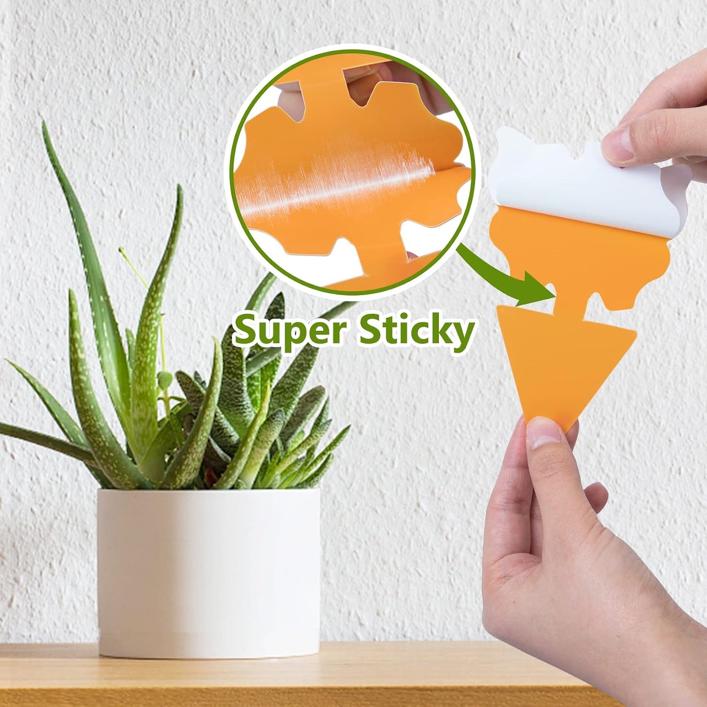 6 Pack Fly Traps Outdoor Hanging for Patio, Outdoor Disposable Hanging Fly Trap with 30g Bait, Bug Fly Hunter Catcher Killer Control for Barn Horse Ranch Chicken Coop