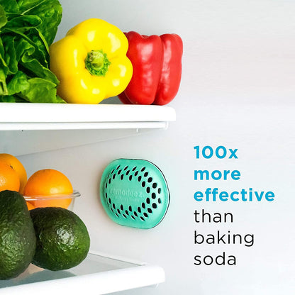 Remodeez Refrigerator Deodorizer with Activated Charcoal for Fridge