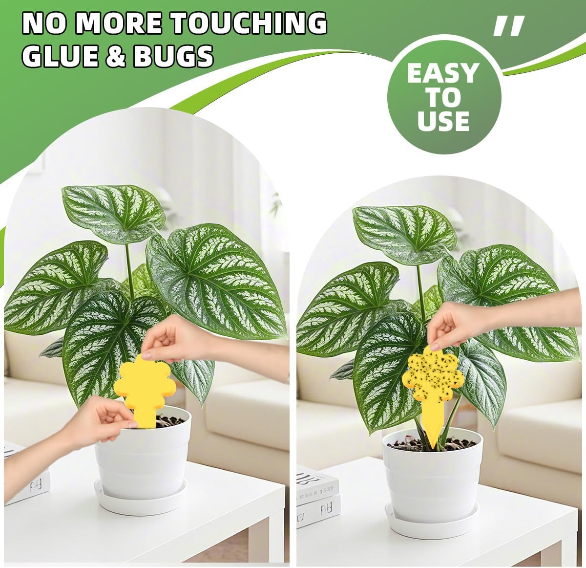 Sticky Yellow Fungus Gnat Traps, Easier to Use, No Touching Glue Or Bugs, Targets Species for Gnat, Fruit Fly & Pests, Thoughtfully Designed, High Capture Rate, Kid & Pet Safe, 36 Traps