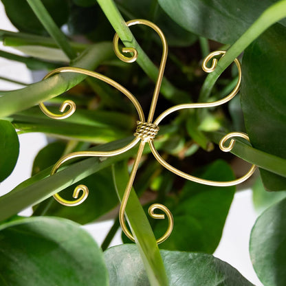 5PCS Monstera Plant Stem Support Stakes - 5.5 * 5.5IN Metal Supports for Monstera and Fishbone Cactus, Sturdy Frame, Easy Installation, Flexible Protection for Healthy Growth Indoors
