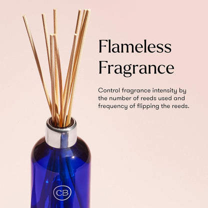 Capri Blue Volcano Reed Diffuser Set - Includes Reeds, Fragrance Oil, and Glass Bottle - Luxury Scented Reed Diffusers for Home Decor - Room Fresheners - White (8 fl oz)