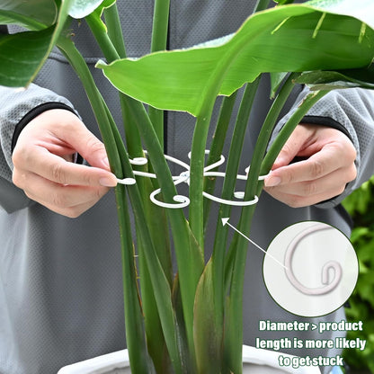 Yohsnor Monstera Plant Stem Support System - 5 Piece Set (5.5x4.7in) | Durable Plant Support Stakes for Climbing Plants & Fishbone Cactus | Ideal Leaf Stabilizer for Indoor Plants & Monstera Care