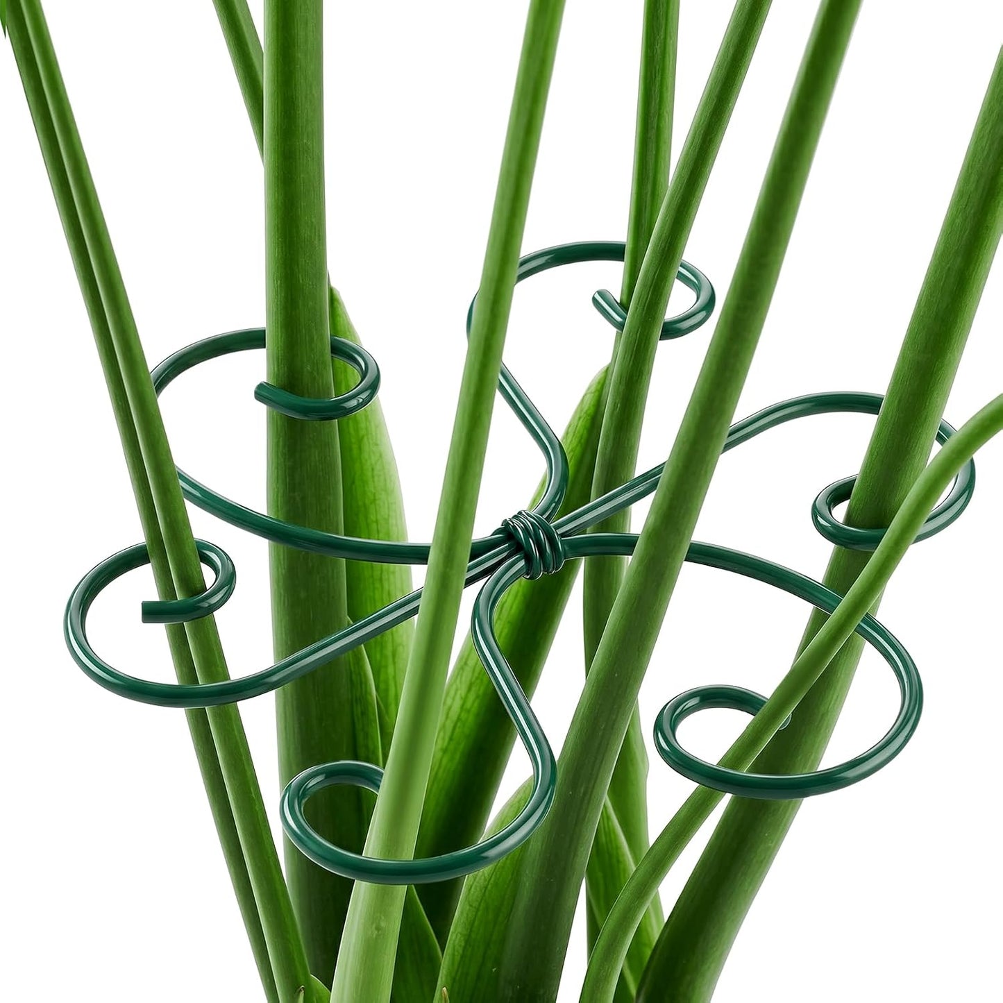 4PCS Monstera Plant Support, 4.1IN Green Metal Plant Stem Support Stakes, Adjustable Indoor Outdoor Potted Climbing Plant Stakes, Monstera Stabilizer Supports