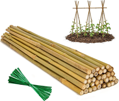 Plant Stakes Natural Bamboo Sticks - 30 Pcs Bamboo Garden Stakes for Plants 4.8 FT Plant Support Sticks with Twist Ties for Tomatoes Beans Flowers Indoor Outdoor Potted Climbing Plants