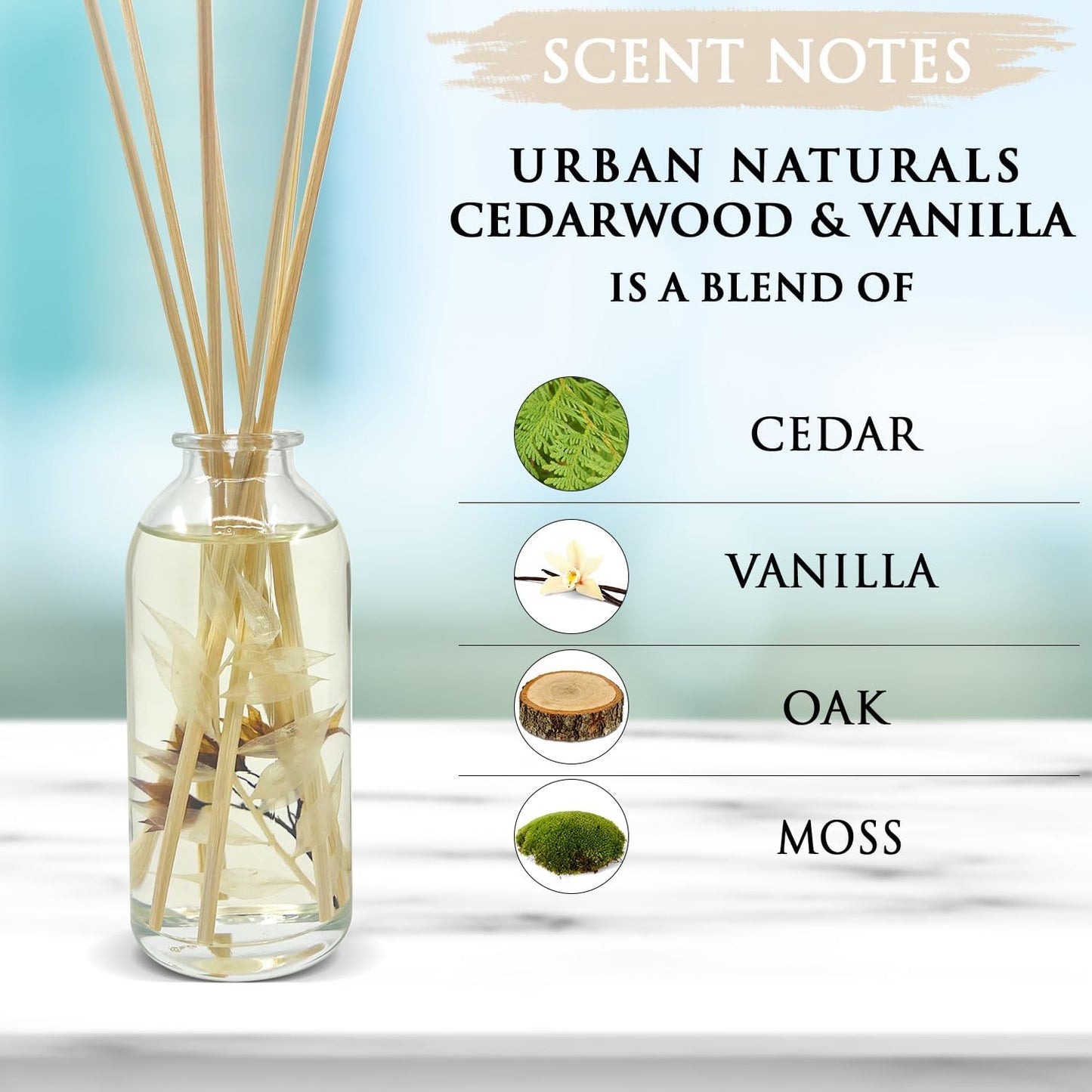 Urban Naturals Smoked Vanilla Reed Diffuser Set with Vanilla Bean, Sandalwood & Leather | Made in the USA - Colors C