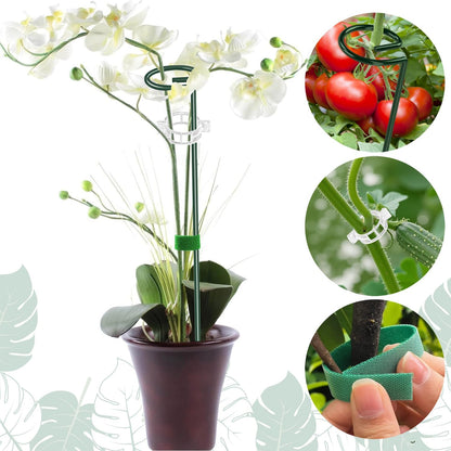 6 Pack 24 in Extendable Plant Support Stakes for Outdoor Plants and Flowers | Adjustable 12 to 24 Inch garden sticks for indoor outdoor, fits orchid, tomato, vegetables and monstera