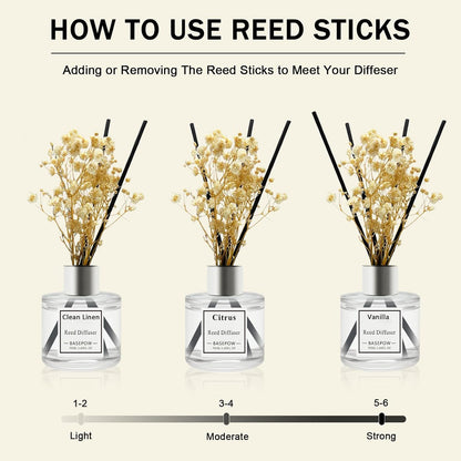 Reed Diffuser Set of 3 Pack,Clean Linen,Vanilla,Citrus Scented Oil Diffuser with 12 Sticks,Reed Diffuser for Home Living Room Office Bathroom Air Freshener,50ml x 3