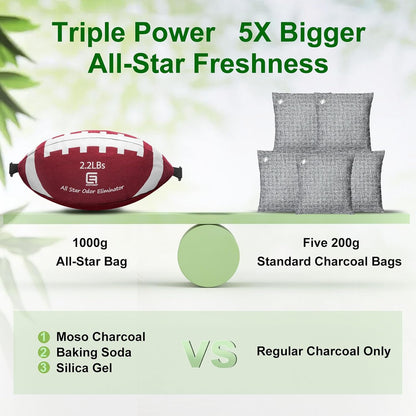 Eco-Fused Activated Charcoal Odor Absorber Bag, 2.2 lb, Unscented | Football-shaped 1000g bamboo charcoal bag for car, closet, basement, RV, bedroom and storage odors; reusable in sunlight