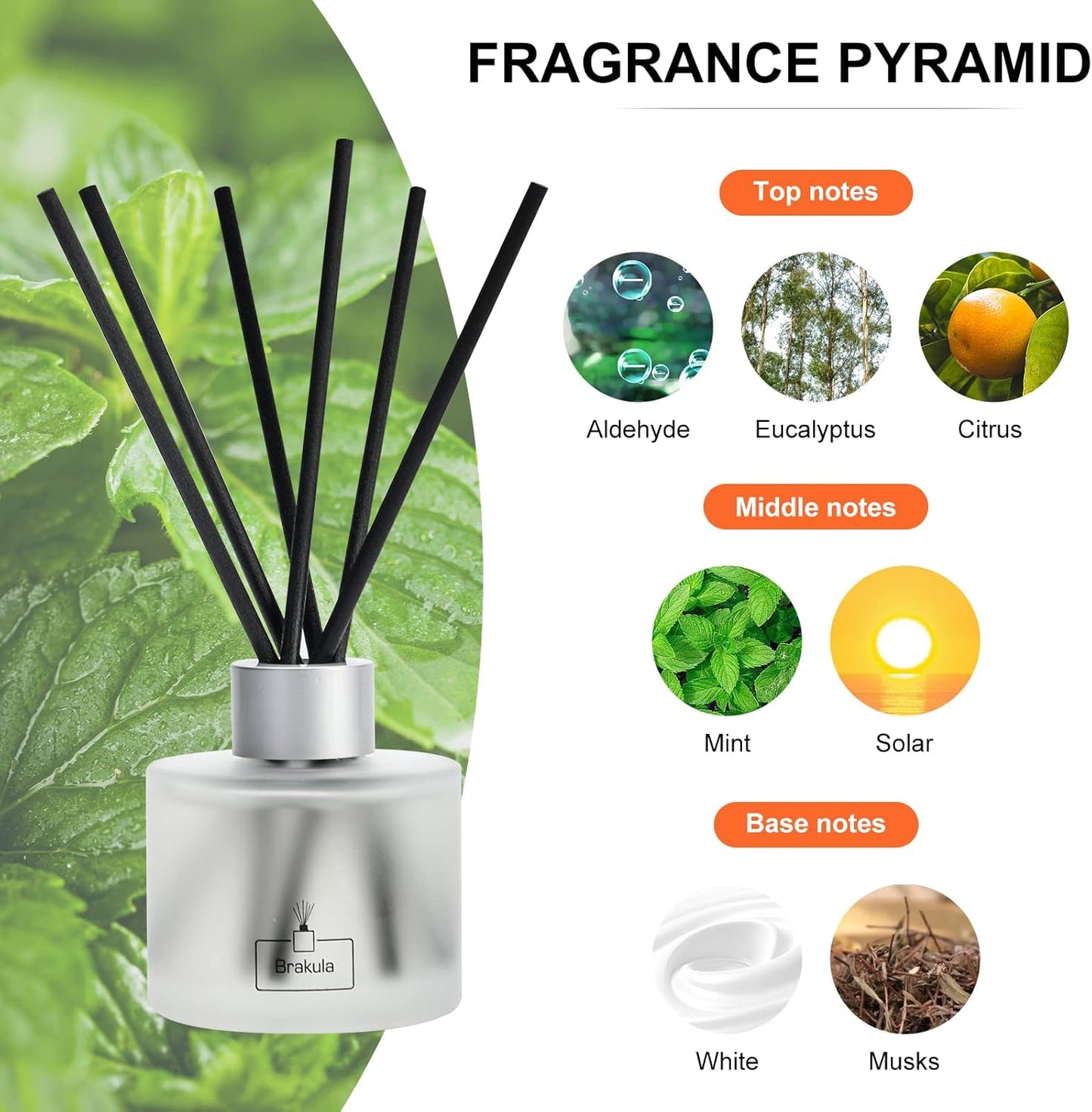 Brakula Reed Diffuser Set, 100ml Black Vanilla Scented Oil Diffuser for Bathroom, Home Fragrance for Living Room, Office