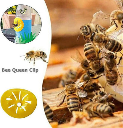 10Pack Hornet Traps Outdoor Hanging Indoor Outdoor Reusable Wasp Traps Hornet Hanging for Yellow Jackets Bee Catcher