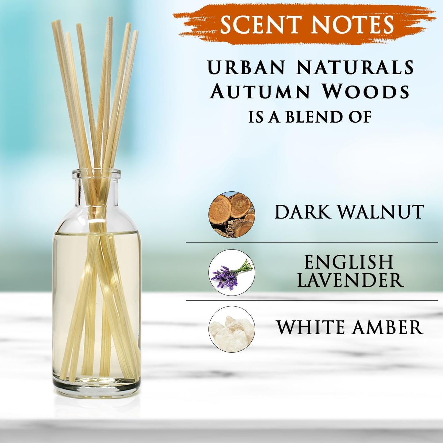 Urban Naturals Smoked Vanilla Reed Diffuser Set with Vanilla Bean, Sandalwood & Leather | Made in the USA - Colors B