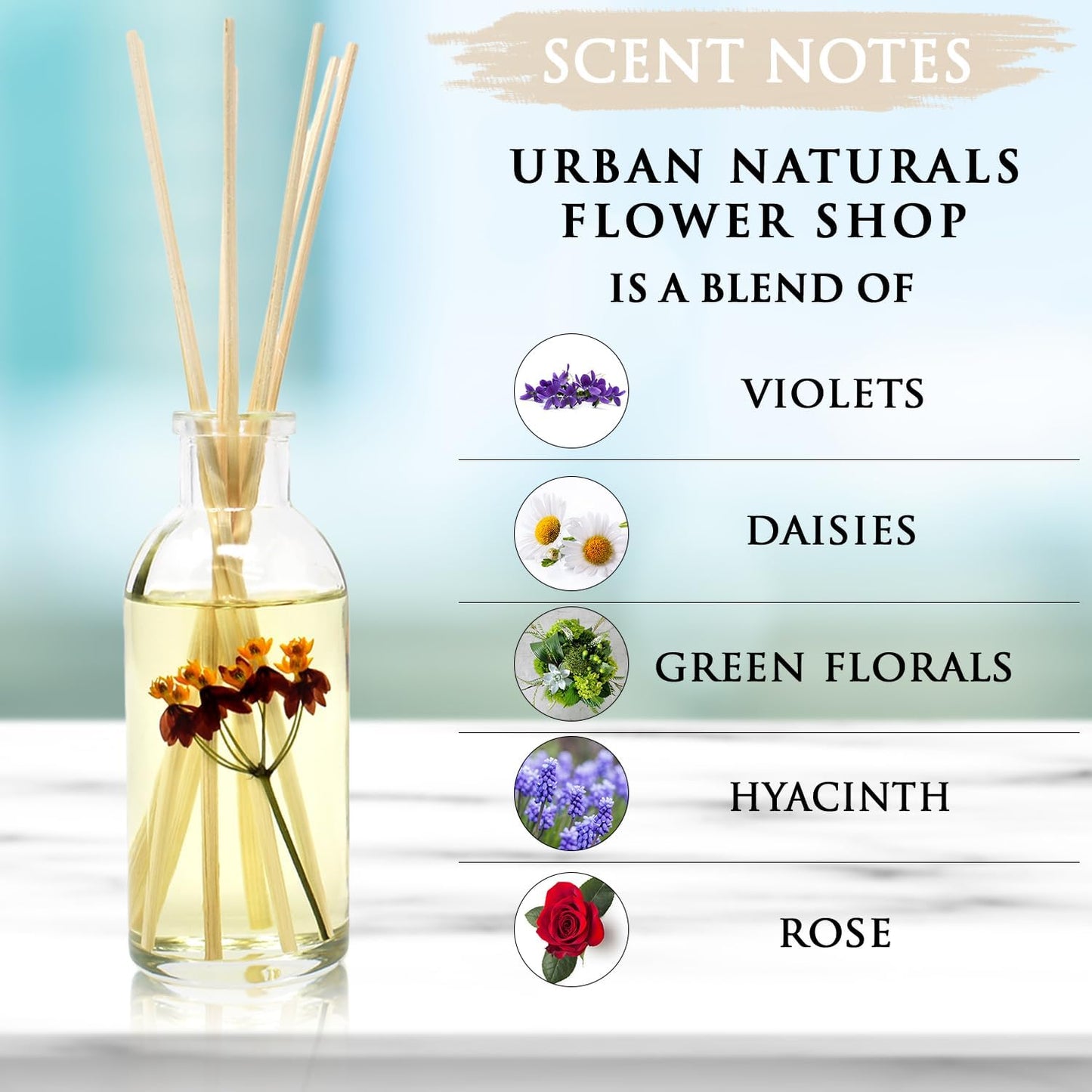 Urban Naturals Smoked Vanilla Reed Diffuser Set with Vanilla Bean, Sandalwood & Leather | Made in the USA - Colors C