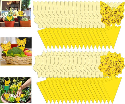 Yellow Sticky Fruit Fly Trap 54 Pack, Gnat Traps for Indoor House Plants | Catches Fungus Gnats, Fruit Fly, Whitefly, Aphid, Leaf Miner, No Harm & Odorless, Safe For Indoor Garden & Outdoor Plant Use