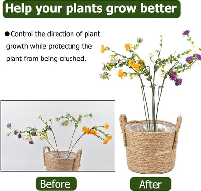 Pack of 30 Small Plant Stakes for Indoor Plants | 3 Size 6.7/10.7/14.6/ Inches Single Stem Plant Support Stakes for Phalaenopsis/Orchid Flower/Roses/Chrysanthemum/Succulent