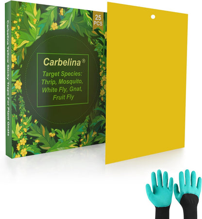 Yellow Sticky Traps for Plant Gnats, 100PCS Fungus Gnat Trap | for Gnat, Fruit Fly, Flying Insects, Bug, Waterproof, Non-Toxic Indoor Outdoor Use for Houseplants, Pots, Garden & Kitchen