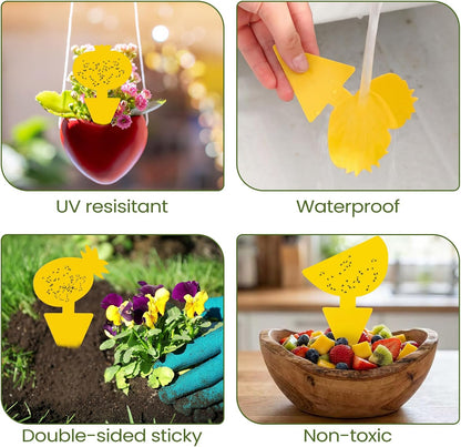 200 Sheets Fruit Fly Sticky Traps for Fruit Fly Gnat Trap for House Indoors Sticky Traps Catcher for Gnats Fungus Gnats Mosquito Catcher for Kitchen Outdoor Plants(Yellow)