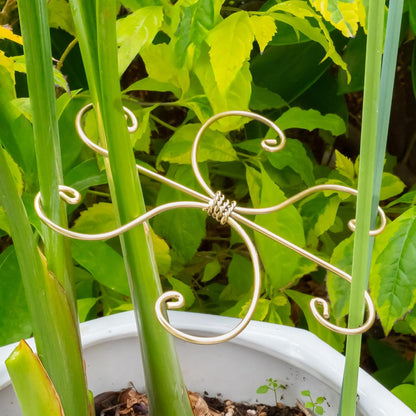 Yohsnor Monstera Plant Stem Support System - 5 Piece Set (5.5x4.7in) | Durable Plant Support Stakes for Climbing Plants & Fishbone Cactus | Ideal Leaf Stabilizer for Indoor Plants & Monstera Care