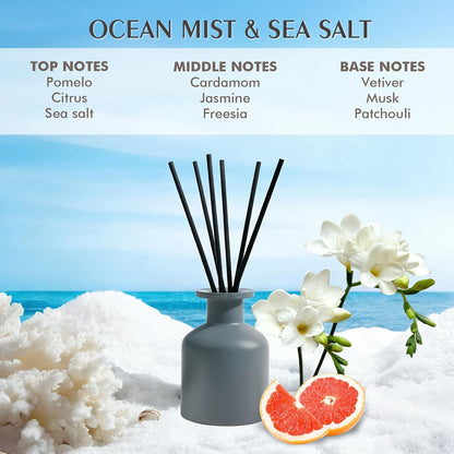 Reed Diffuser Set,Ocean Mist & Sea Salt Fragrance,100ml(3.38 fl.oz) with 6 Reed Sticks,Long-Lasting Oil Diffuser for Home,Office,Bathroom,Flame Free