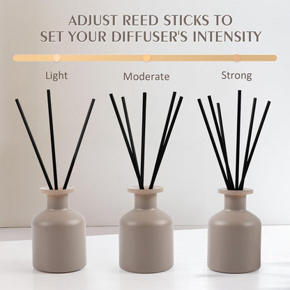 Reed Diffuser Set,Ocean Mist & Sea Salt Fragrance,100ml(3.38 fl.oz) with 6 Reed Sticks,Long-Lasting Oil Diffuser for Home,Office,Bathroom,Flame Free