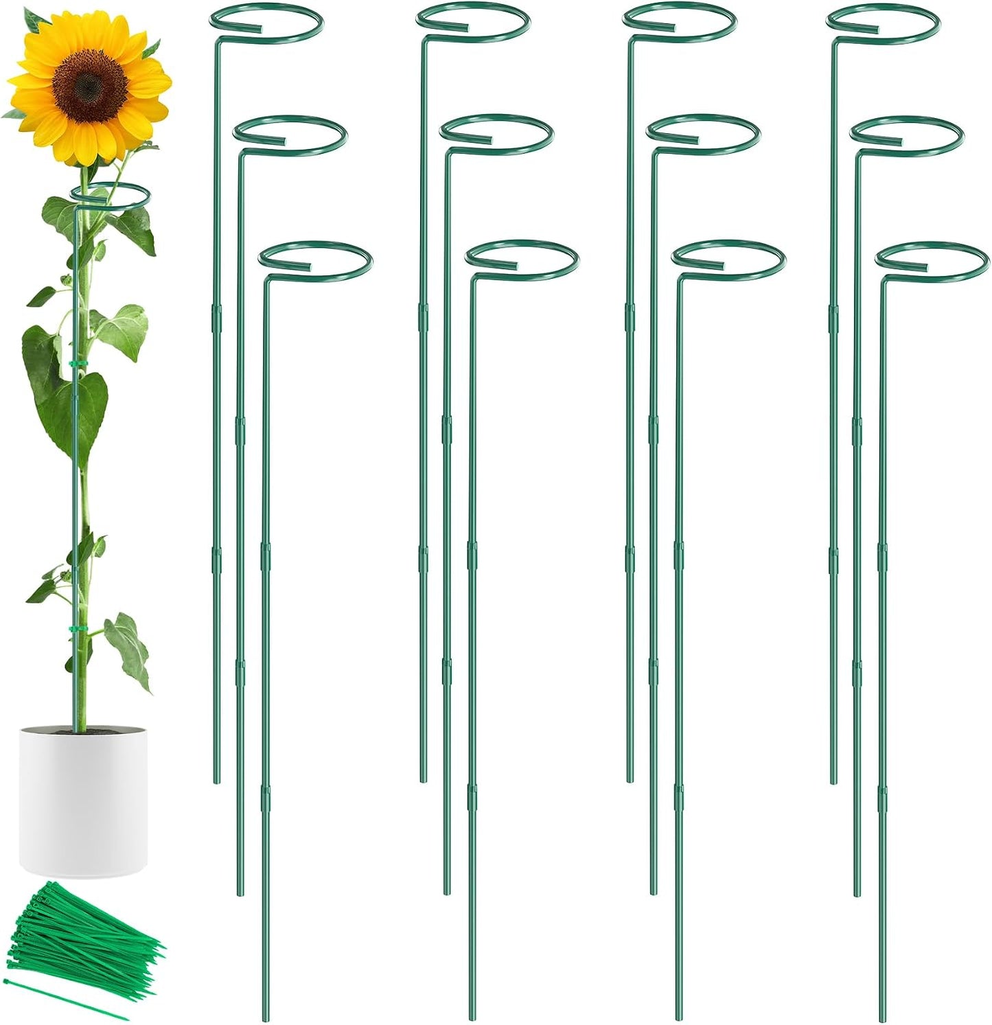 Unves 24 in Plant Stakes, 12 Pack Garden Plant Support Stakes(12" or 24") | Single Stem Plant Cage for Outdoor Indoor Plants Orchid, Tomatoes, Peony, Lily, with 100 Pcs Twist Ties