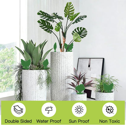 36 Pcs Sticky Traps for Fungus Gnat, Fruit Fly, Whitefly, Yellow | Indoor/Outdoor Use, For Plants & Kitchen, High-End Glue, Insect Catcher