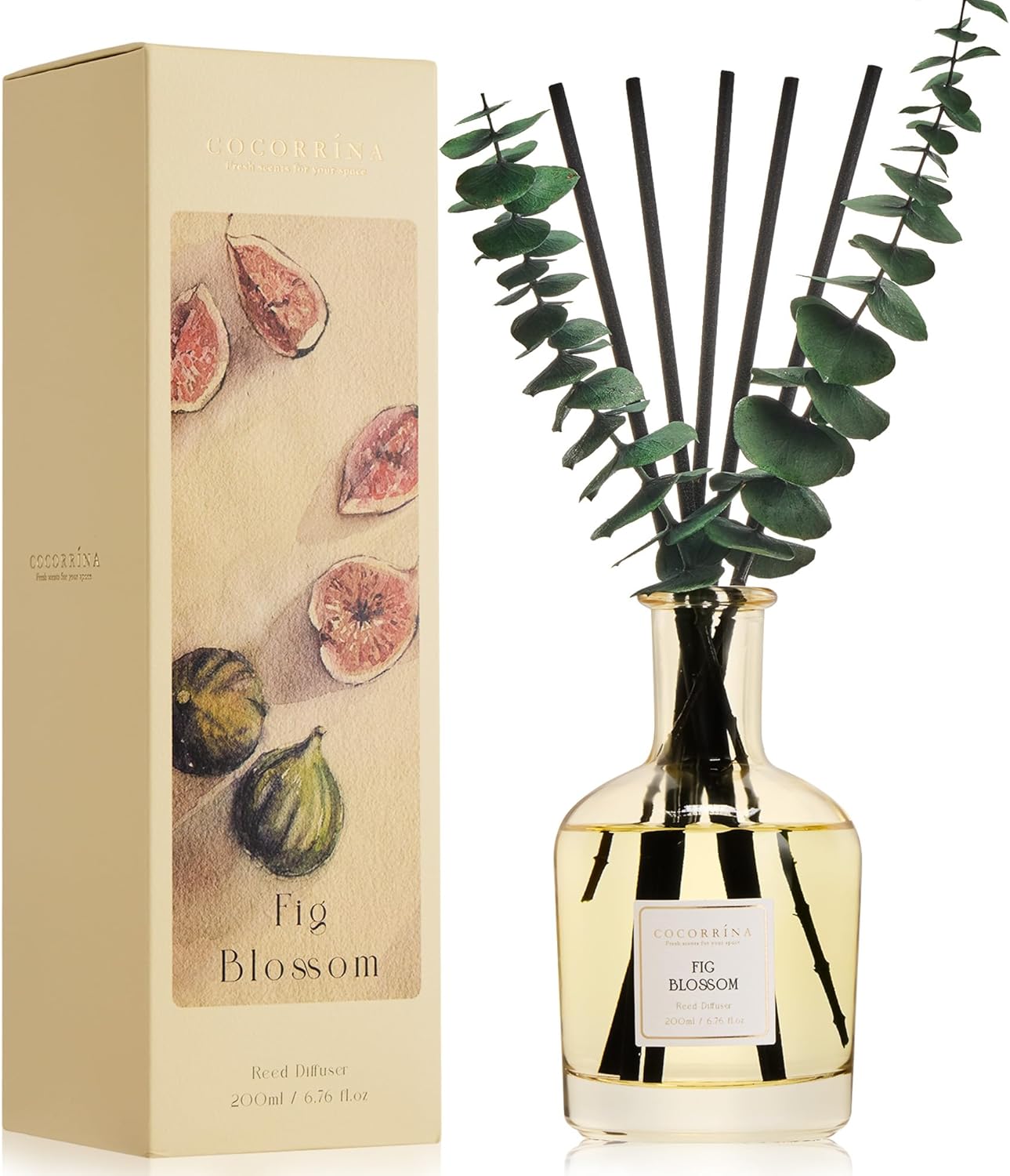 COCORRÍNA Wild Mint & Eucalyptus Reed Diffuser – 6.76 oz Essential Oil with 8 Reeds & Real Eucalyptus Sticks, Home Fragrance for Bedroom or Bathroom Décor