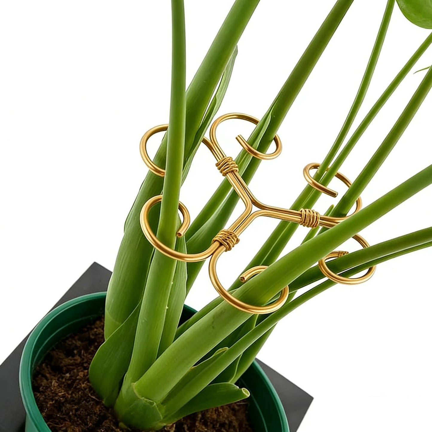 YAPROMO 4PCS Iron Monstera Plant Support - 4.1IN Plant Support Stakes for Indoor Plants, Plant Stakes and Supports, Ideal Plant stem Support for Turtle Shell Bamboo & Houseplants (A+B)