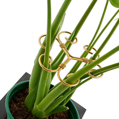 YAPROMO 4PCS Iron Monstera Plant Support - 4.1IN Plant Support Stakes for Indoor Plants, Plant Stakes and Supports, Ideal Plant stem Support for Turtle Shell Bamboo & Houseplants (A+B)