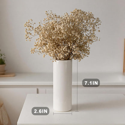 Modern Small Flower Vases 8 Pack - Ceramic, White