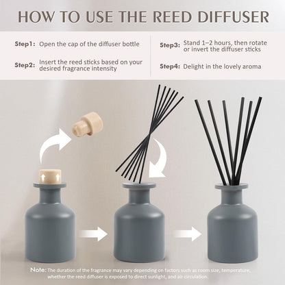 Reed Diffuser Set,Ocean Mist & Sea Salt Fragrance,100ml(3.38 fl.oz) with 6 Reed Sticks,Long-Lasting Oil Diffuser for Home,Office,Bathroom,Flame Free