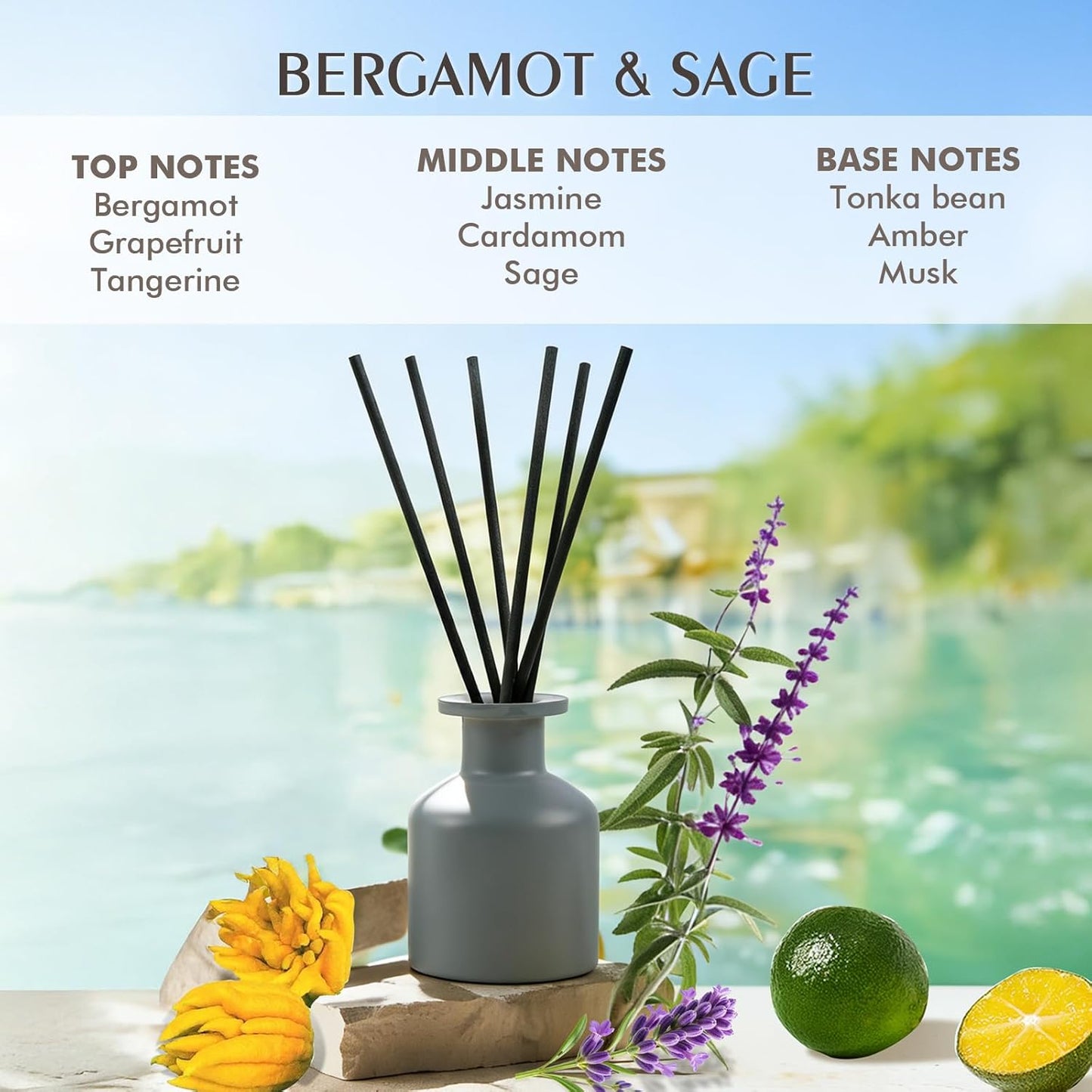 Reed Diffuser Set,Ocean Mist & Sea Salt Fragrance,100ml(3.38 fl.oz) with 6 Reed Sticks,Long-Lasting Oil Diffuser for Home,Office,Bathroom,Flame Free