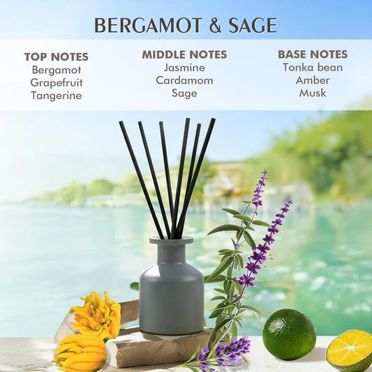 Reed Diffuser Set,Ocean Mist & Sea Salt Fragrance,100ml(3.38 fl.oz) with 6 Reed Sticks,Long-Lasting Oil Diffuser for Home,Office,Bathroom,Flame Free
