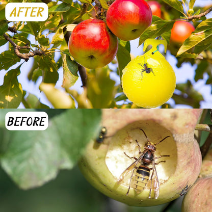 Qualirey 10 Pcs Sticky Fruit Fly Trap Ball Adhesive Fly Catching Ball Sticky Glue Fly Gnat Wasp Hornet Mosquito Bugs Flying Insects Trap Ball Traps (Yellow)