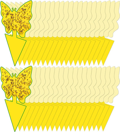 40 Pack Fungus Gnat Traps for House Indoor Yellow Sticky Traps for Gnats Sticky Traps for Plants, Dual-Sided Fungus Gnat Sticky Traps Fruit Fly Traps for Indoors