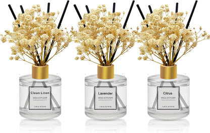 Reed Diffuser Set of 3 Pack,Clean Linen,Eucalyptus & Mint,Ocean Scented Oil Diffuser with 4 Sticks,Reed Diffusers for Home,Living Room,Bathroom Air Freshener Diffuser,50ml x 3